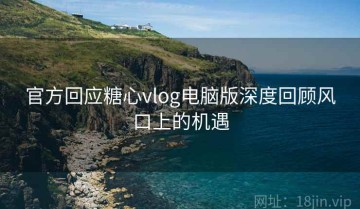 官方回应糖心vlog电脑版深度回顾风口上的机遇