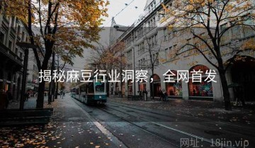 揭秘麻豆行业洞察，全网首发