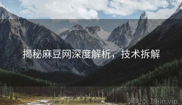 揭秘麻豆网深度解析，技术拆解