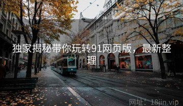 独家揭秘带你玩转91网页版，最新整理
