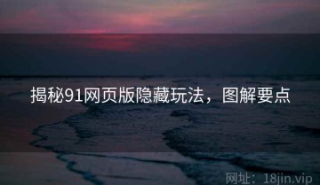 揭秘91网页版隐藏玩法，图解要点