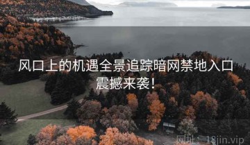 风口上的机遇全景追踪暗网禁地入口震撼来袭！
