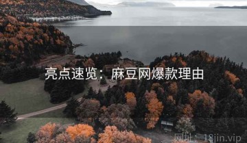 亮点速览：麻豆网爆款理由