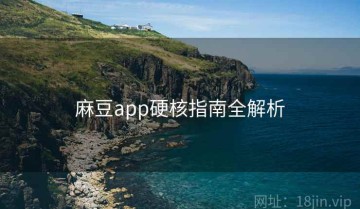 麻豆app硬核指南全解析