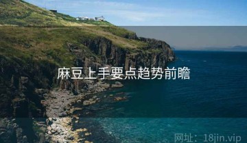 麻豆上手要点趋势前瞻