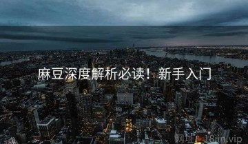 麻豆深度解析必读！新手入门