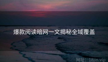 爆款阅读暗网一文揭秘全域覆盖