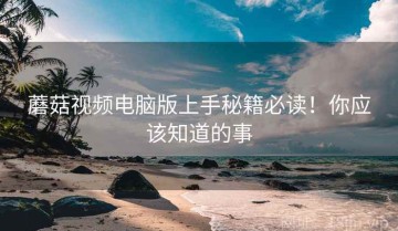 蘑菇视频电脑版上手秘籍必读！你应该知道的事