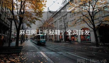 麻豆网上手秘籍：全网首发