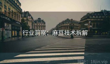 行业洞察：麻豆技术拆解