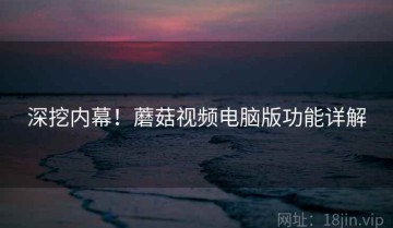 深挖内幕！蘑菇视频电脑版功能详解