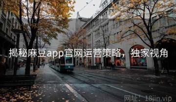 揭秘麻豆app官网运营策略，独家视角