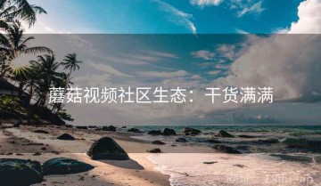 蘑菇视频社区生态：干货满满