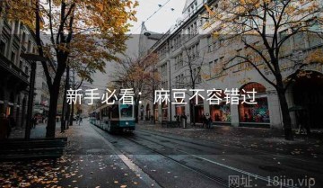 新手必看：麻豆不容错过