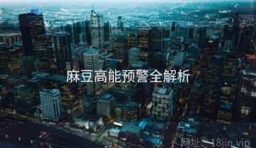 麻豆高能预警全解析