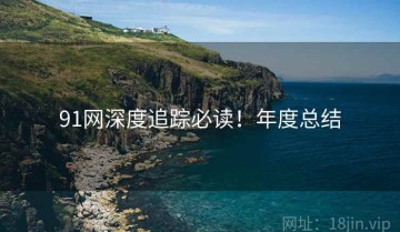 91网深度追踪必读！年度总结