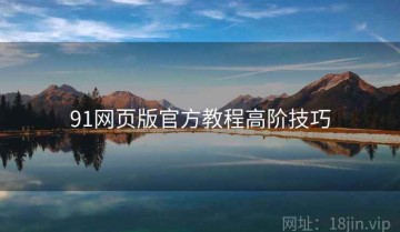91网页版官方教程高阶技巧