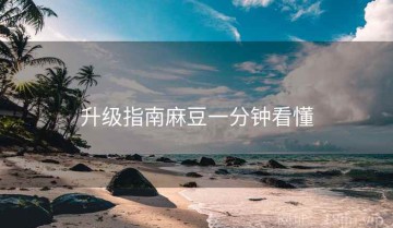 升级指南麻豆一分钟看懂