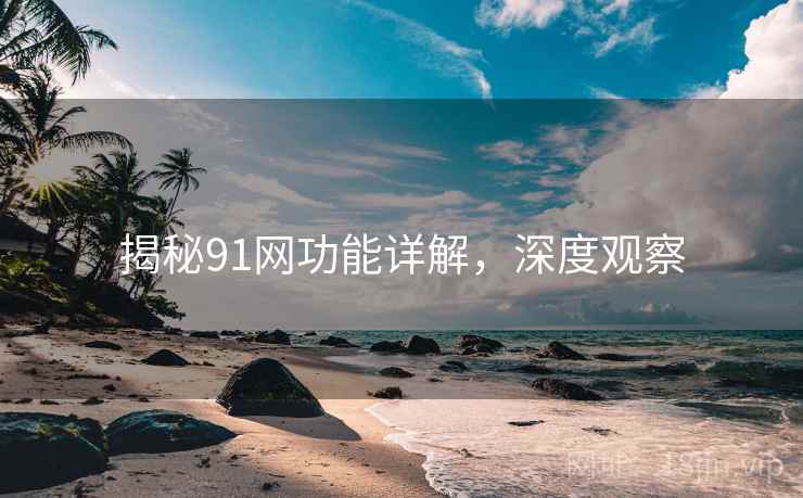 揭秘91网功能详解，深度观察