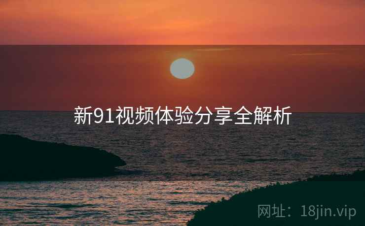 新91视频体验分享全解析