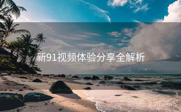 新91视频体验分享全解析