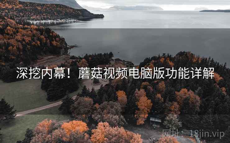 深挖内幕！蘑菇视频电脑版功能详解