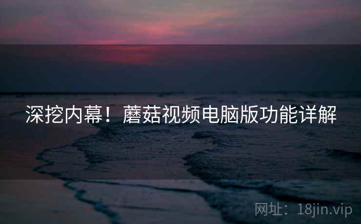 深挖内幕！蘑菇视频电脑版功能详解