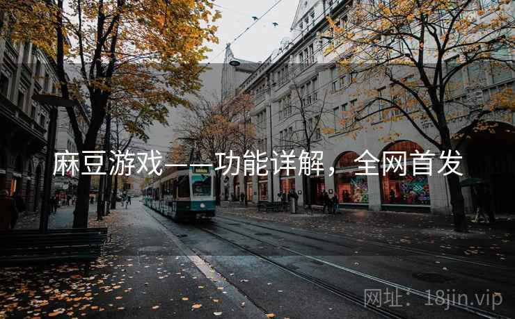 麻豆游戏——功能详解，全网首发