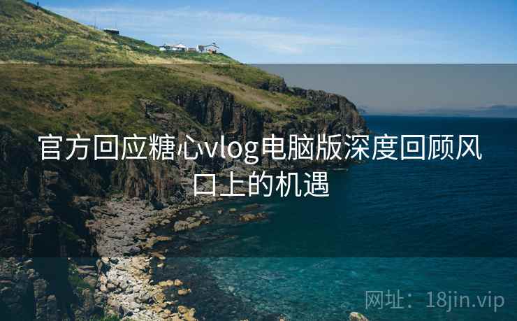 官方回应糖心vlog电脑版深度回顾风口上的机遇