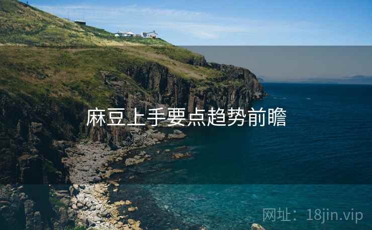 麻豆上手要点趋势前瞻