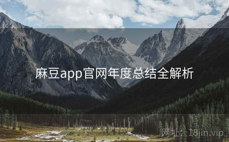麻豆app官网年度总结全解析