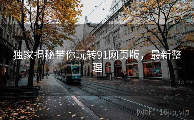 独家揭秘带你玩转91网页版，最新整理