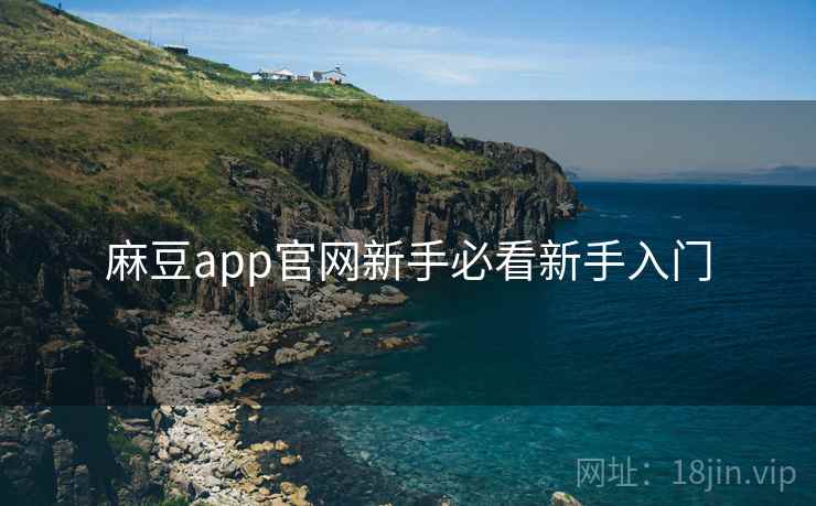 麻豆app官网新手必看新手入门