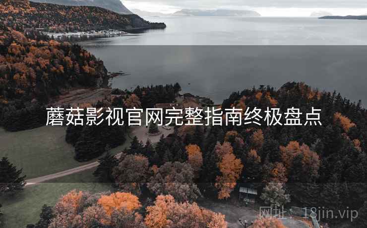 蘑菇影视官网完整指南终极盘点