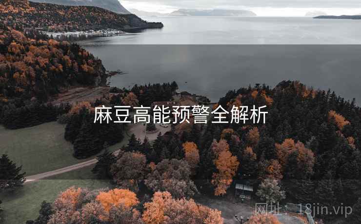 麻豆高能预警全解析