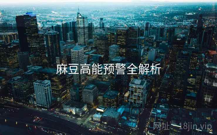 麻豆高能预警全解析