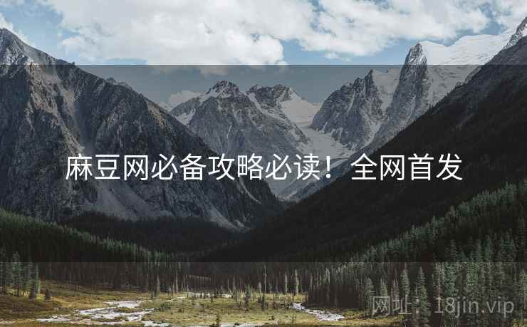麻豆网必备攻略必读！全网首发