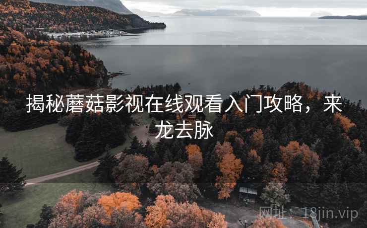 揭秘蘑菇影视在线观看入门攻略，来龙去脉