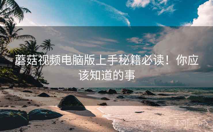 蘑菇视频电脑版上手秘籍必读！你应该知道的事