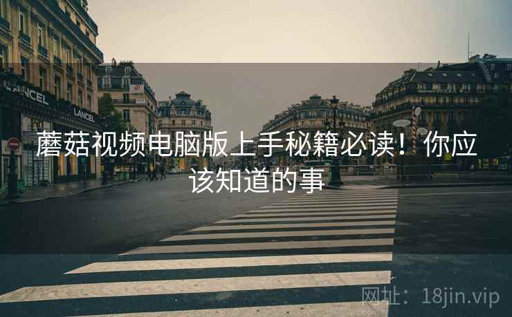 蘑菇视频电脑版上手秘籍必读！你应该知道的事