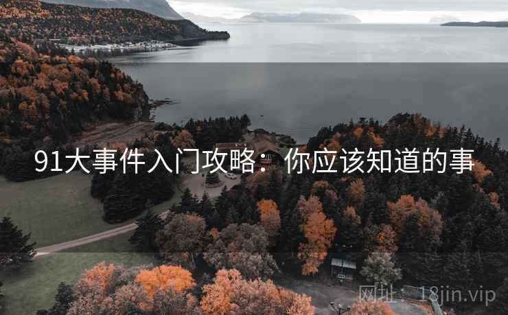 91大事件入门攻略：你应该知道的事