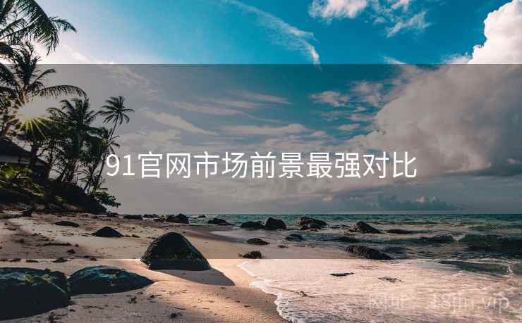 91官网市场前景最强对比