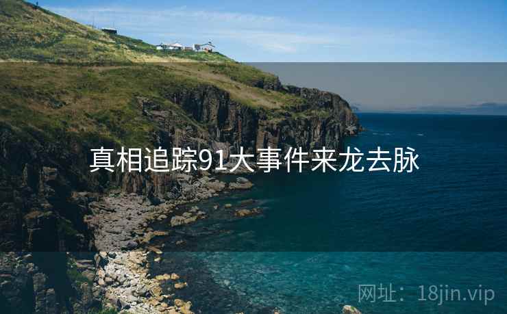 真相追踪91大事件来龙去脉