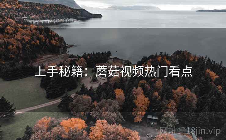 上手秘籍：蘑菇视频热门看点
