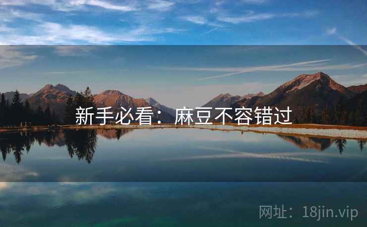 新手必看：麻豆不容错过