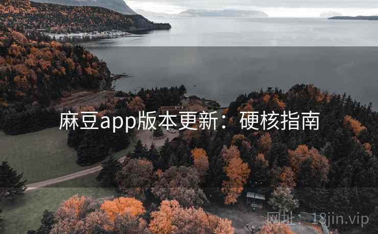 麻豆app版本更新：硬核指南