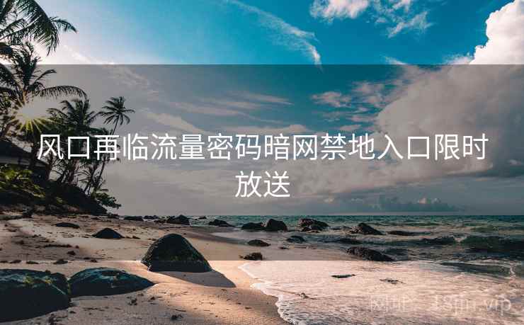 风口再临流量密码暗网禁地入口限时放送