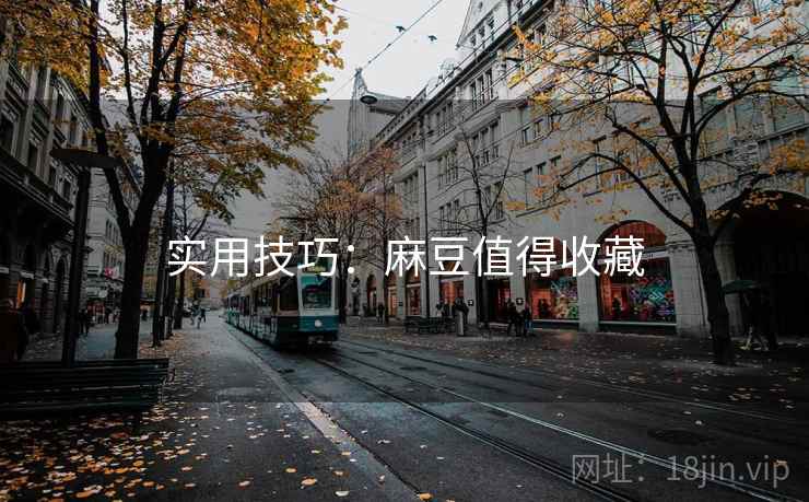 实用技巧：麻豆值得收藏