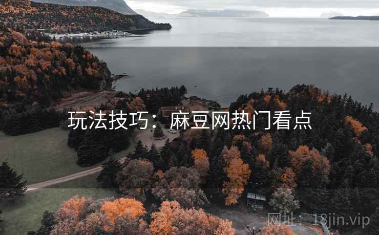 玩法技巧：麻豆网热门看点