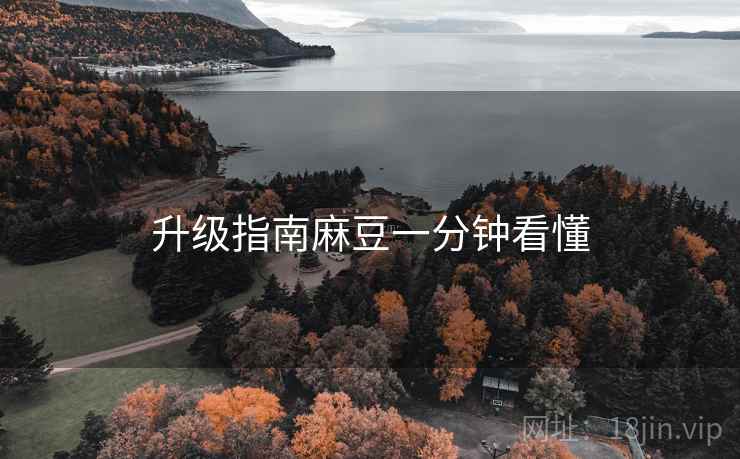 升级指南麻豆一分钟看懂